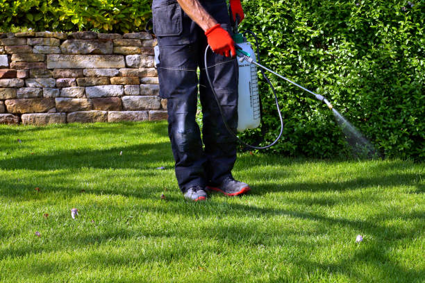 Best Pest Prevention Services  in Brooktrails, CA